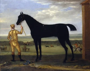 Hertugen af Devonshires væddeløbshest "Basto", ca. 1708-25 (olie på lærred)