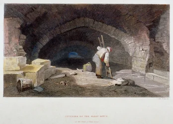 Interiør af flådegrøften på bagsiden af Field Lane, City of London, 1851.