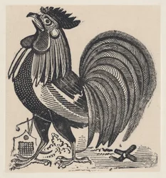 En hane, ca. 1880-1910., ca. 1880-1910.