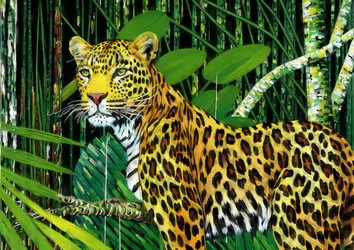 Dyr: Leopard 1
