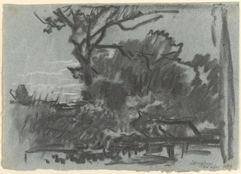 Skovscene