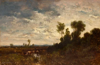 Hedelandskab