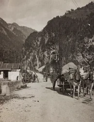 Album "Min verdenskrig - minder om den sydvestlige front i Kärnten, Italien, Trentino-Alto Adige) 31/03/1915-12/11/ 1918 - Josef Zohle