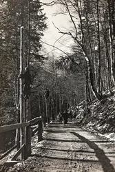 Album "Min verdenskrig - minder om den sydvestlige front i Kärnten, Italien, Trentino-Alto Adige) 31/03/1915-12/11/ 1918 - Josef Zohles Wien ": soldater på arbejde (s/h foto