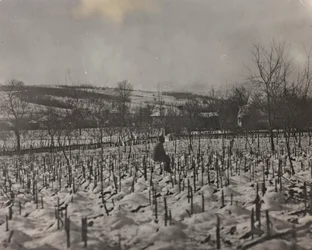 Album "Min verdenskrig - minder om den sydvestlige front i Kärnten, Italien, Trentino-Alto Adige) 31/03/1915-12/11/ 1918 - Josef Zohles Vienna ": militærkirkegård (s/h foto)