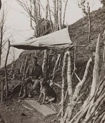 Album "Min verdenskrig - minder om den sydvestlige front i Kärnten, Italien, Trentino-Alto Adige) 31/03/1915-12/11/ 1918 - Josef Zohles Vienna ": militærhund under et telt (
