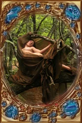 Venus i træ