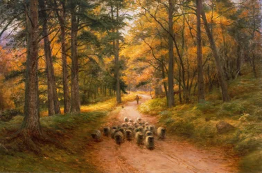 Homewards (olie på lærred)