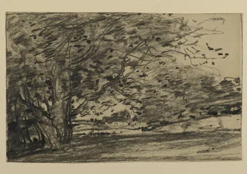 Study of Trees, 1870 (grafit på papir)