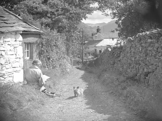 En kvinde sad og læste med en hund på en vej