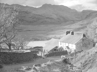 Gård (i Langdales) med kvinde og hunde, der ser på ænder og landbrugsbygninger bagved