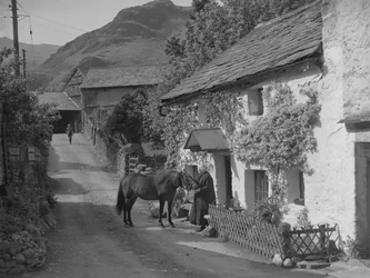 Gammel dame stryger hest, der står på vejen foran sommerhus