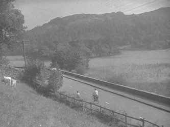 Udsigt over en vej, der løber langs Rydal Water, med mennesker på cykler, kvæg og fjelde
