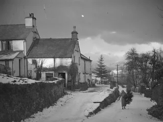 Kvinde bærer gren på vej ved siden af Borwick Fold Farm i Hawkshead i snevejr