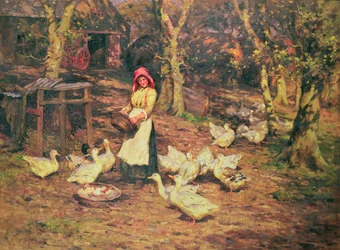 At fodre ænderne