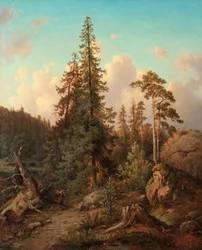 Skovlandskab med kvinde, der samler træ