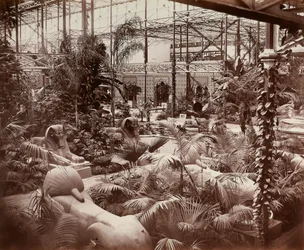 Crystal Palace i London: den tropiske afdeling, ca. 1870