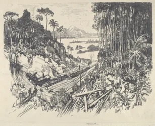 Junglen