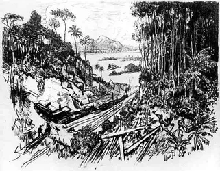 The Jungle: The Old Railway, plade VIII fra Panamakanalen af Joseph Pennell, 1912 (kul på papir)