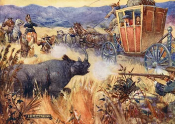 Simon Van der Stel og næsehornet (farvelitografi)