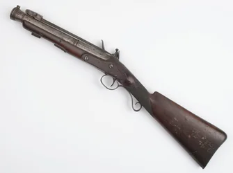 Blunderbuss med fjederbajonet udstedt til Irish Volunteers, ca. 1815 (blunderbuss, flintlock)
