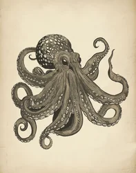 Elegant vintage blæksprutte