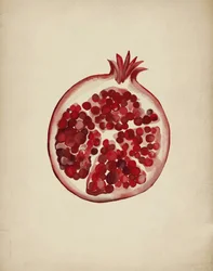 Saftig rød granatæble