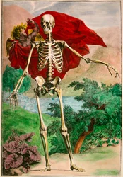 Skelettet og kærligheden