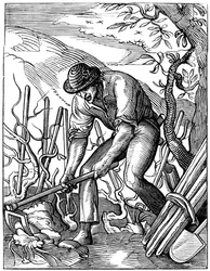 Vinmager, 1500-tallet 1849.