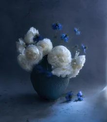 Mørkeblåt blomsterstilleben
