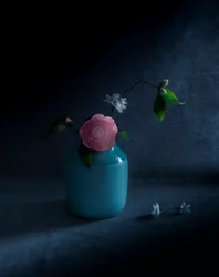 Stemningsfuld lyserød blomst