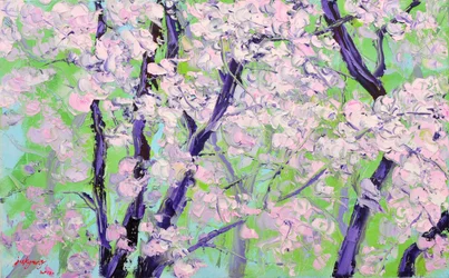 Blomstrende kirsebærtræer