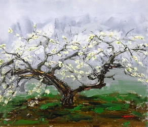 Forårsblomstrende træ