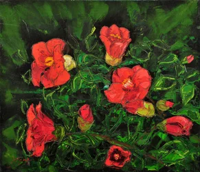 Levende røde blomster