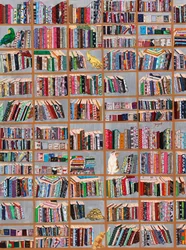 De fantasifulde biblioteksvenner