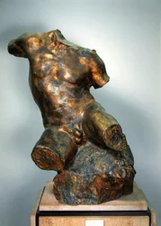 Mandlig torso