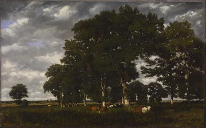 En lys dag