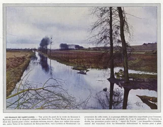 Sumpområderne ved Saint-Gond