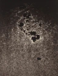 Uden titel (Studie af solens overflade),1893 (foto)