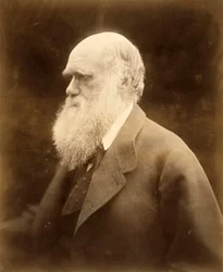Portræt af Charles Darwin, 1868