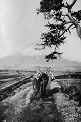 Bønder i regionen Fuji, ikke ved navn, men blot som O Yama, det ærede bjerg, c1900,