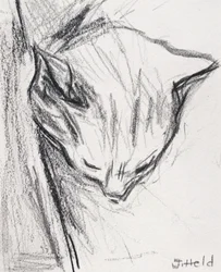 Sovende kat, 2015, (blyant)