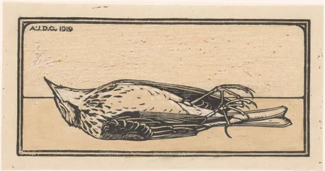 Død fugl
