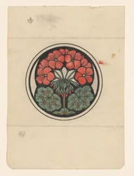 Geranium