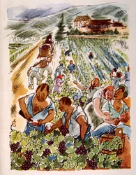 fransk vingård. 1944. Illustration af Julien Pavil