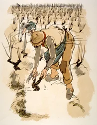 Humoristisk vinillustration 1946.Illustration af Julien Pavil