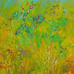 Farverig mark med vilde blomster