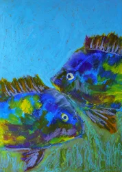 Livlige tropiske fisk