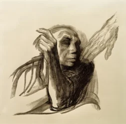Käthe Kollwitz, Dødens kald
