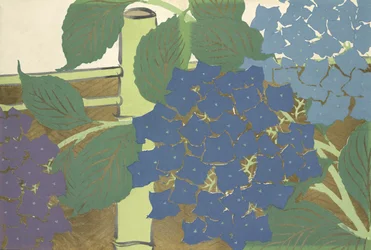 Hortensia, fra ferskenyogusa